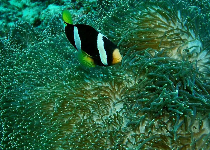 Nika Island Resort & Spa, Maldives